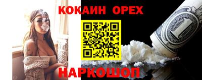 гидропоника Гатчина