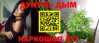 гидропоника Гатчина
