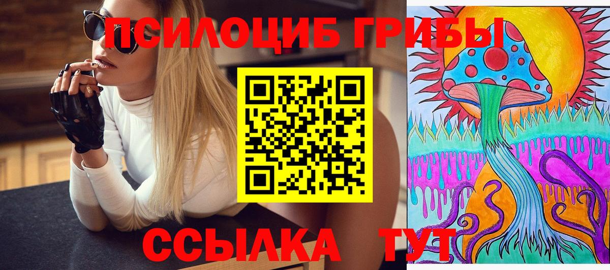 Галлюциногенные грибы GOLDEN TEACHER  Вход с VPN  магазин  наркотиков  Мытищи 